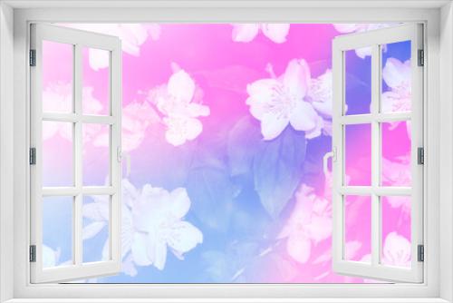 Fototapeta Naklejka Na Ścianę Okno 3D - White jasmine The branch delicate spring flowers