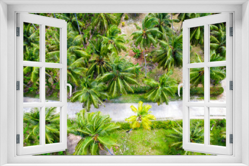 Fototapeta Naklejka Na Ścianę Okno 3D - Palms 2