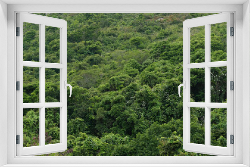 Fototapeta Naklejka Na Ścianę Okno 3D - Green mountain forest on cloudy day