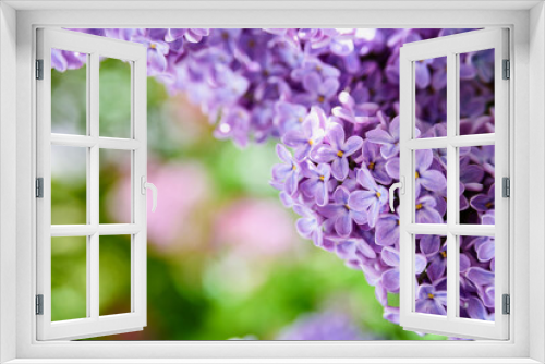 Fototapeta Naklejka Na Ścianę Okno 3D - Lilac flowers close up background