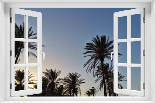 Fototapeta Naklejka Na Ścianę Okno 3D - View of palm trees at sunset