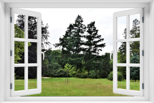 Fototapeta Naklejka Na Ścianę Okno 3D - Drzewa w parku