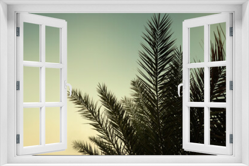 Fototapeta Naklejka Na Ścianę Okno 3D - Green palm tree against a beautiful sunset sky
