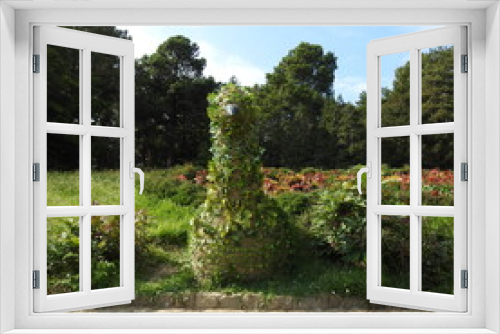 Fototapeta Naklejka Na Ścianę Okno 3D - garden with flowers