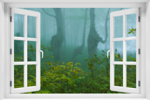 Fototapeta Naklejka Na Ścianę Okno 3D - 深い霧に包まれる秋の森