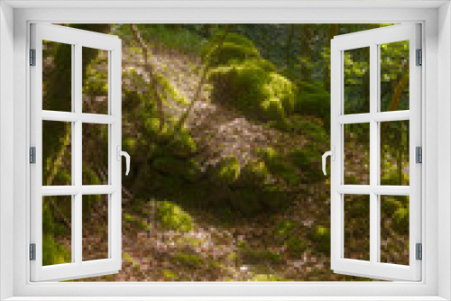 Fototapeta Naklejka Na Ścianę Okno 3D - verlassener Steinbruch mitten im grünen Wald