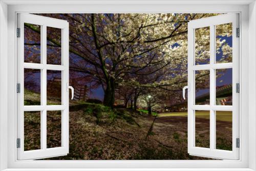 Fototapeta Naklejka Na Ścianę Okno 3D - 夜明けの街灯に照らされる都会の桜