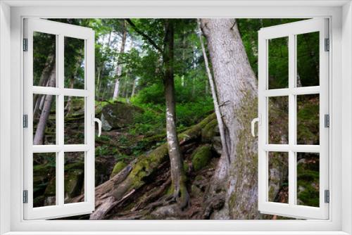 Fototapeta Naklejka Na Ścianę Okno 3D - Schwarzwald Panorama