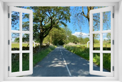 Fototapeta Naklejka Na Ścianę Okno 3D - Country lane, with old trees, meadows, and dry stone walls near, Grassington, Skipton, UK