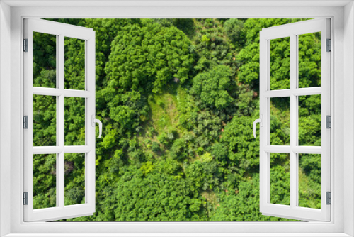 Fototapeta Naklejka Na Ścianę Okno 3D - green forest, view from above