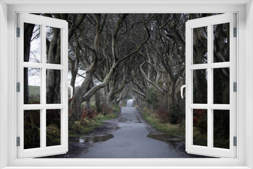 Fototapeta Naklejka Na Ścianę Okno 3D - northern Ireland