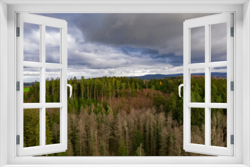 Fototapeta Naklejka Na Ścianę Okno 3D - over the forest on cloudy day