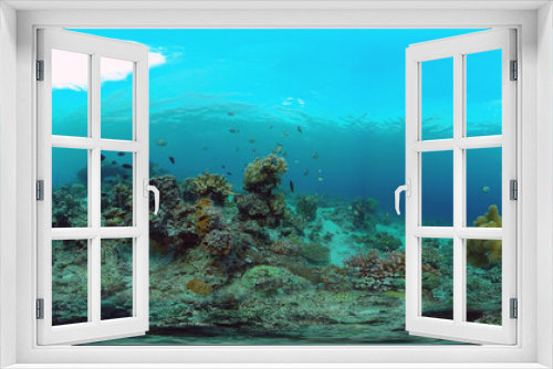 Fototapeta Naklejka Na Ścianę Okno 3D - Tropical fishes and coral reef underwater. 360VR foto. Hard and soft corals, underwater landscape. Travel vacation concept