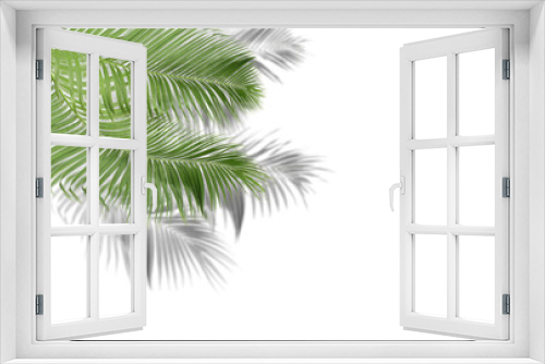 Fototapeta Naklejka Na Ścianę Okno 3D - green palm leaves with shadow on white background