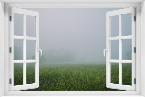 Fototapeta Naklejka Na Ścianę Okno 3D - Foggy countryside.
