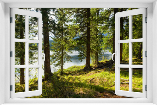 Fototapeta Naklejka Na Ścianę Okno 3D - Sunny day on a wild lake in the coniferous taiga. Cedars grow on the shore