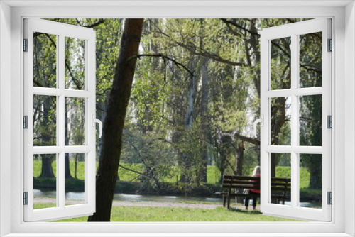 Fototapeta Naklejka Na Ścianę Okno 3D - alone in park