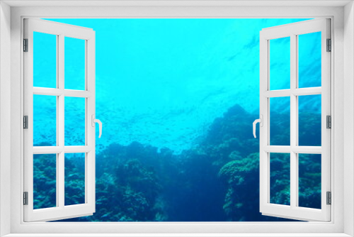 Fototapeta Naklejka Na Ścianę Okno 3D - Unterwasserwelt