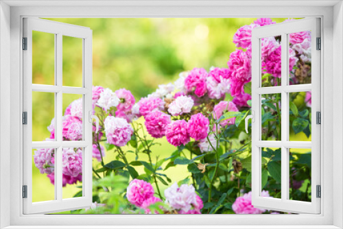Fototapeta Naklejka Na Ścianę Okno 3D - Romantic pink roses wedding background