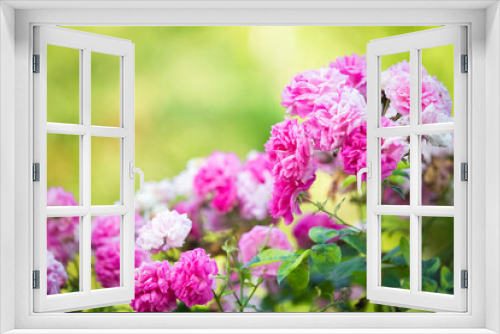 Fototapeta Naklejka Na Ścianę Okno 3D - Romantic pink roses wedding background