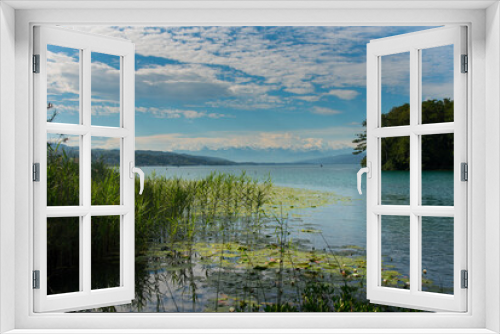 Fototapeta Naklejka Na Ścianę Okno 3D - Natur am Hallwiler See im Aargau in der Schweiz