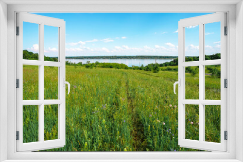 Fototapeta Naklejka Na Ścianę Okno 3D - Agricultural scenic field of green herbaceous plants and wild flowers. Dirt road and dirt road, river and forest in the distance on the background of a blue sky with clouds