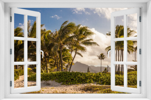 Fototapeta Naklejka Na Ścianę Okno 3D - Hawaiian palm trees