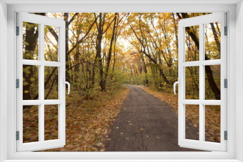 Fototapeta Naklejka Na Ścianę Okno 3D - The camera rides along a forest road in the fall. First-person view