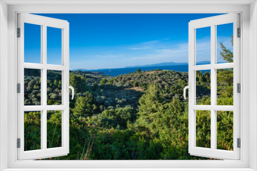 Fototapeta Naklejka Na Ścianę Okno 3D - Beautiful panoramic view on Olive groves on north Evia island.  Greece.