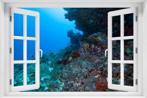 Fototapeta Naklejka Na Ścianę Okno 3D - coral reef and fish