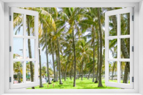 Fototapeta Naklejka Na Ścianę Okno 3D - Las palmeras altas