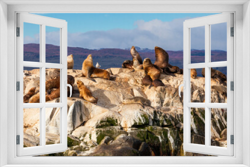 Fototapeta Naklejka Na Ścianę Okno 3D - Seal Island near Ushuaia