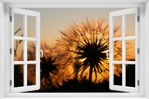 Fototapeta Naklejka Na Ścianę Okno 3D - Stellate sunset