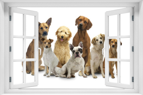 Fototapeta Naklejka Na Ścianę Okno 3D - 7 Hunde