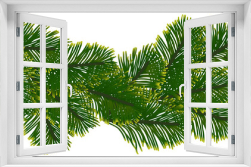 Fototapeta Naklejka Na Ścianę Okno 3D - green plant with needleses on white