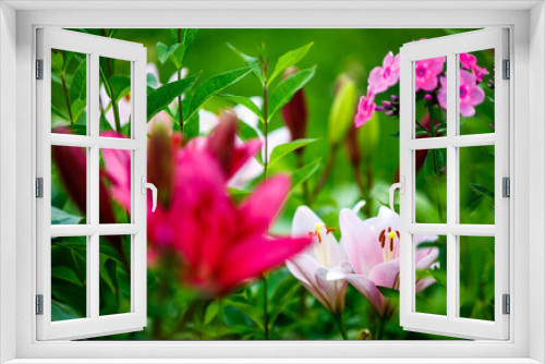 Fototapeta Naklejka Na Ścianę Okno 3D - pink lilies in the garden