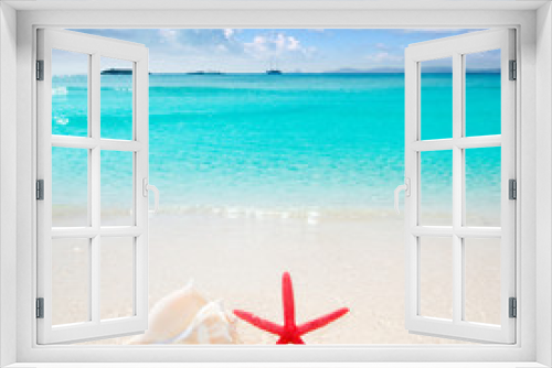 Fototapeta Naklejka Na Ścianę Okno 3D - Starfish and seashell in tropical beach