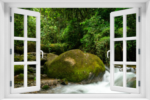 Fototapeta Naklejka Na Ścianę Okno 3D - small waterfall in the brazilian rainforest