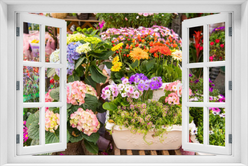 Fototapeta Naklejka Na Ścianę Okno 3D - Flower pots decorate on white wall and colorful flowers in the spring garden blossom beautiful