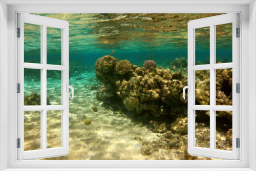 Fototapeta Naklejka Na Ścianę Okno 3D - Récif de corail, lagon de Maupiti, Polynésie française	