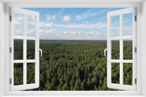Fototapeta Naklejka Na Ścianę Okno 3D - Aerial view of pine forest in summer with blue sky