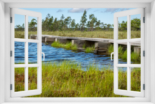Fototapeta Naklejka Na Ścianę Okno 3D - summer landscape with bog background and traditional vegetation, a wooden footpath leads through the bog, Nigula bog, Estonia
