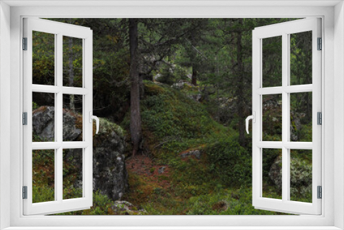 Fototapeta Naklejka Na Ścianę Okno 3D - Zauberwald-Wildnis im Parc Ela, Panorama, Schweiz