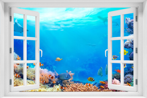 Fototapeta Naklejka Na Ścianę Okno 3D - Panoramic view of the coral reef. Animals of the underwater sea world. Ecosystem. Colorful tropical fish. 