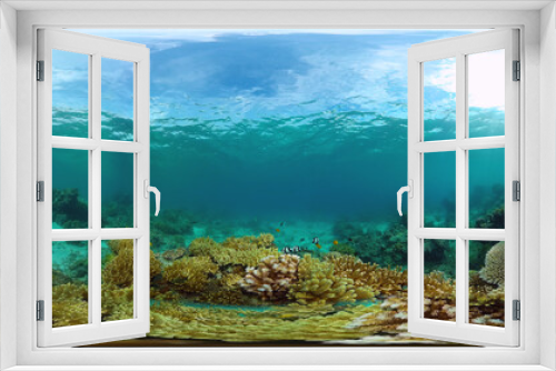 Fototapeta Naklejka Na Ścianę Okno 3D - Underwater Scene Coral Reef 360VR. Tropical underwater sea fishes. Virtual tour 360. Panglao, Philippines.