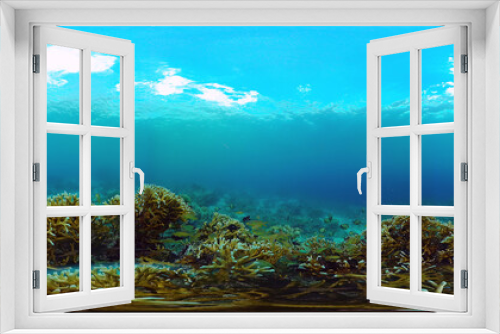 Fototapeta Naklejka Na Ścianę Okno 3D - 360VR Foto: Beautiful underwater world with coral reef and tropical fishes. Panglao, Philippines. Travel vacation concept
