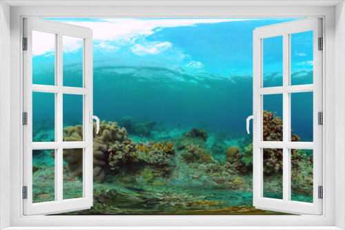 Fototapeta Naklejka Na Ścianę Okno 3D - Coral reef and tropical fishes. The underwater world of the Philippines. VR 360 Foto.