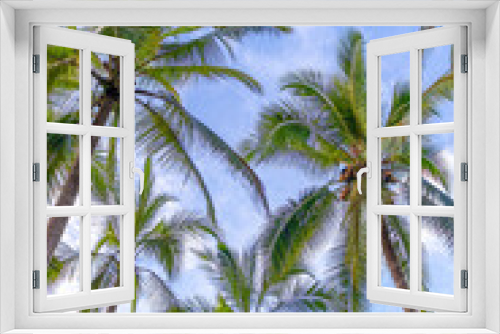 Fototapeta Naklejka Na Ścianę Okno 3D - Palm trees in Costa Rica