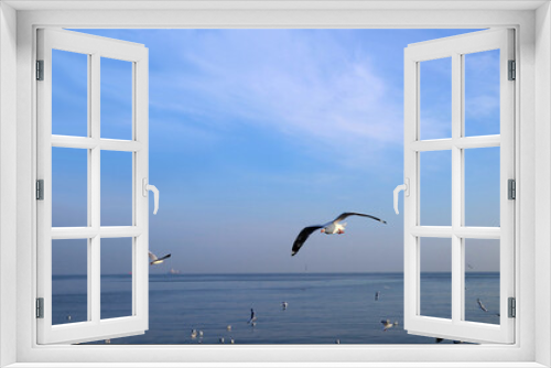 Fototapeta Naklejka Na Ścianę Okno 3D - Flock of Seagulls Flying Freely over the Blue Sea