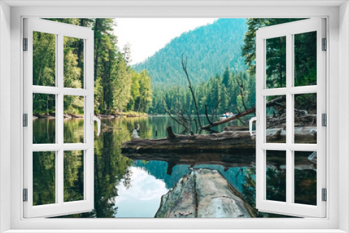 Fototapeta Naklejka Na Ścianę Okno 3D - Drowned trees in a mountain lake